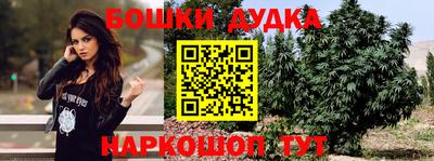 прущие грибы Брянск