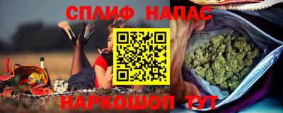 прущие грибы Брянск