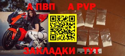 прущие грибы Брянск