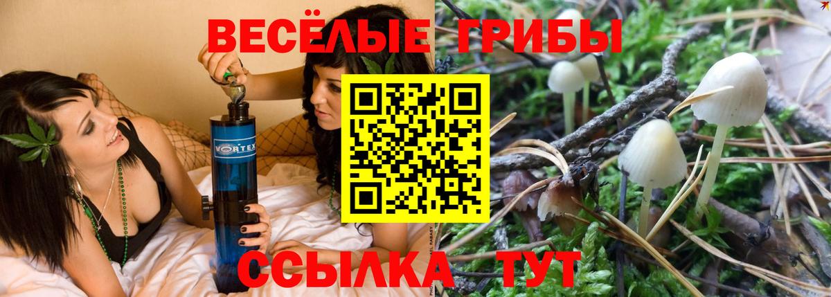 Дзержинский  Галлюциногенные грибы ЛСД  Галлюциногенные грибы Psilocybe  Вход с VPN 