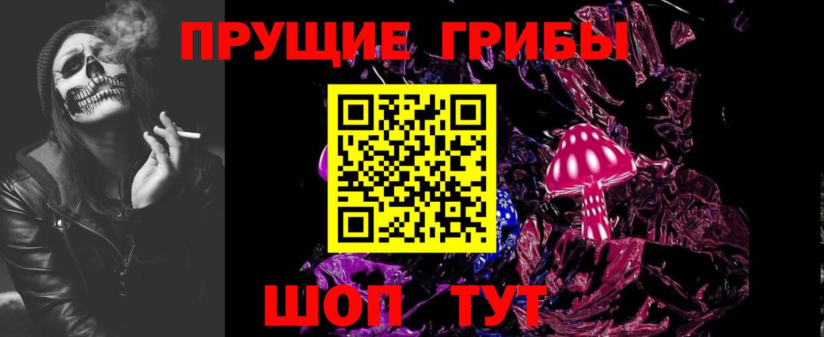 Галлюциногенные грибы Psilocybe Дзержинский